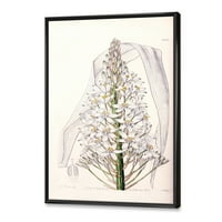 Designart 'Bijela Vintage Orchid I' Tradicionalni Uramljeni Platneni Zidni Umjetnički Print