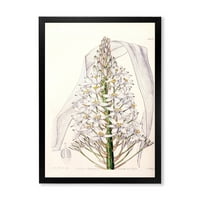 PROIZVODNJA Bijela vintage orhideja i tradicionalna uokvirena umjetnička štampa