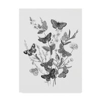 Zaštitni znak likovnih umjetnosti 'Butterfly buket I LINEN BW I' Canvas Art by Wild Apple portfelj