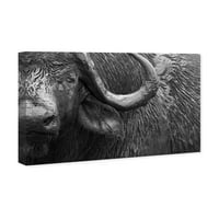 Wynwood Studio životinje zid Art platno grafike 'Budi Buffalo' Zoo i divlje životinje-Siva, Siva
