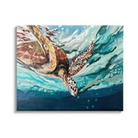 Stupell Industries prskanje morske kornjače ronjenje ispod površine okeana Galerija slika umotano platno