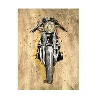 Annie Warren 'Metalik Rider I' Canvas Art