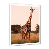 PROIZVODNJAČA 'Afrička žirafa u divljini i' Seoska kuća uokvirena umjetničkim otiskom