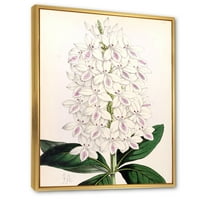 Designart 'drevna Bijela orhideja III' tradicionalni uramljeni platneni zidni otisak