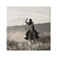 Stupell Industries Cowboy Lasso Western Fotografija Životinje i insekti Fotografija Galerija zamotana