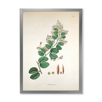 Dizajnerska 'drevna botanicala XIII' Farmhouse Framed Art Print