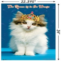 Keith Kimberlin - Kitten - Queen zidni poster, 22.375 34